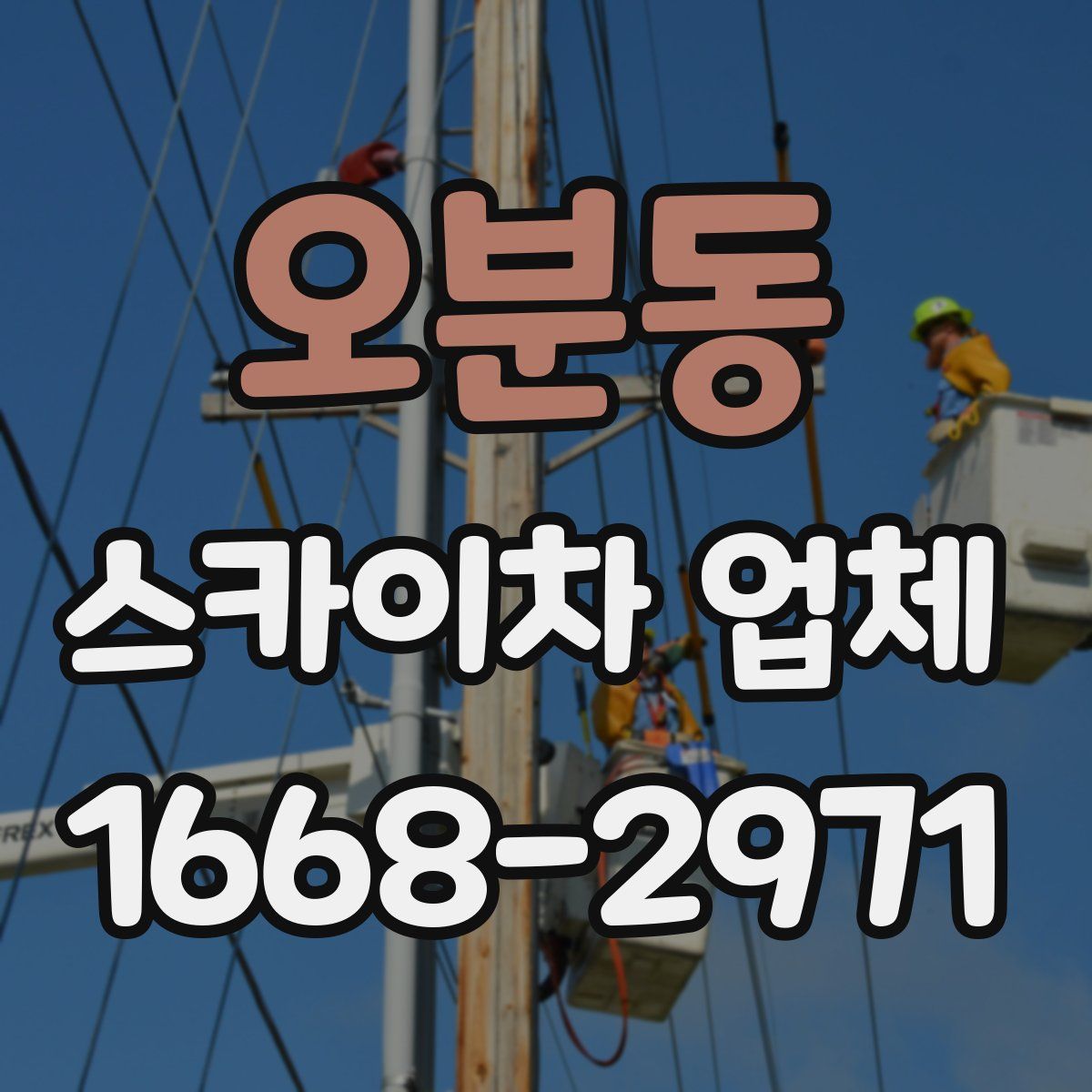 오분동 스카이차 업체