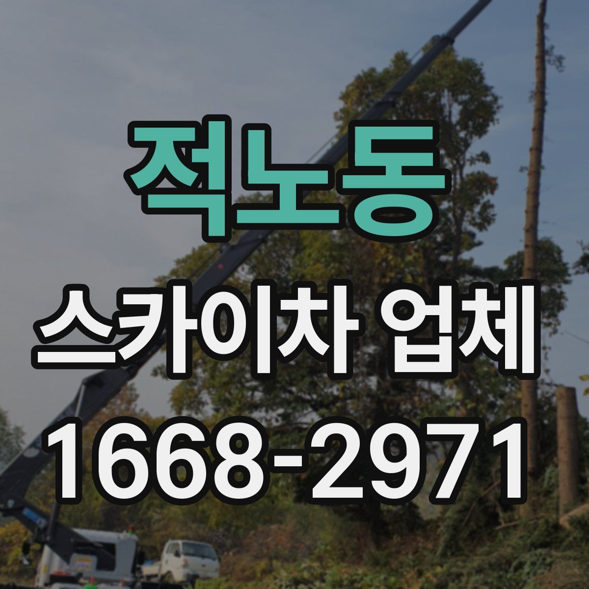 적노동 스카이차 업체
