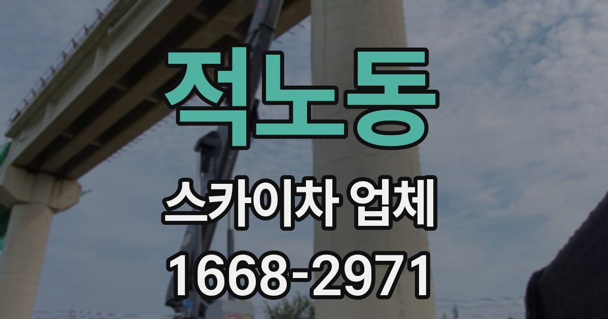 적노동 스카이차 업체