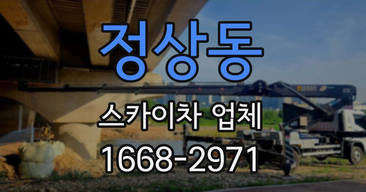 정상동 스카이차 업체