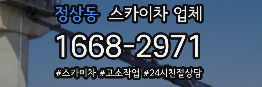 정상동 스카이차 업체