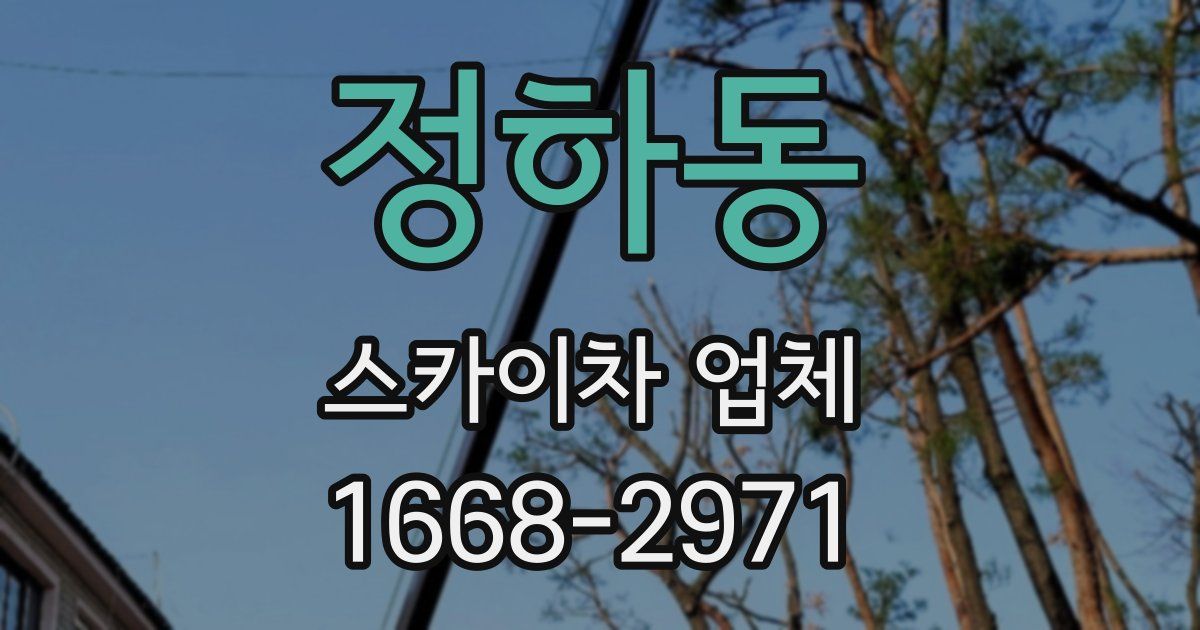 정하동 스카이차 업체