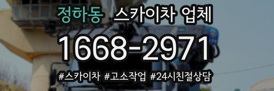 정하동 스카이차 업체
