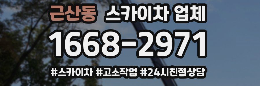 근산동 스카이차 업체