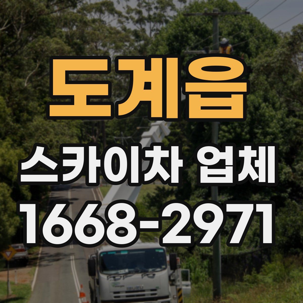 도계읍 스카이차 업체