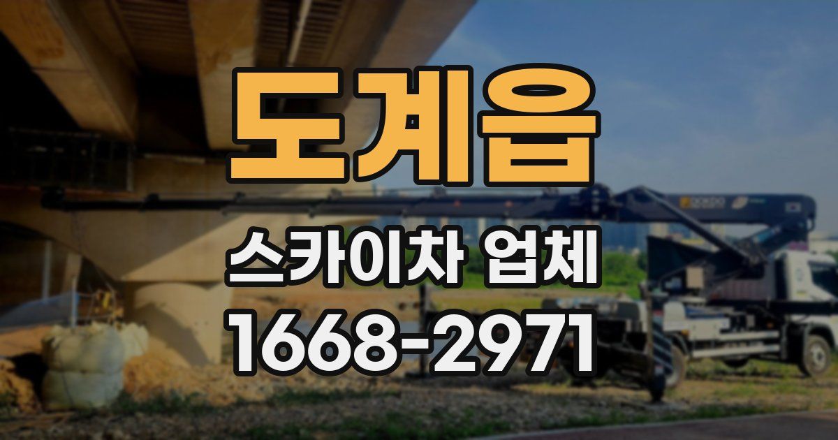 도계읍 스카이차 업체
