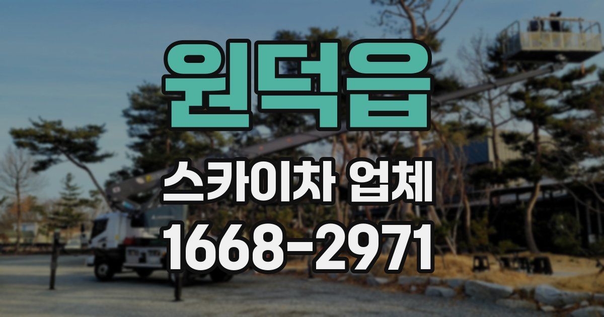 원덕읍 스카이차 업체