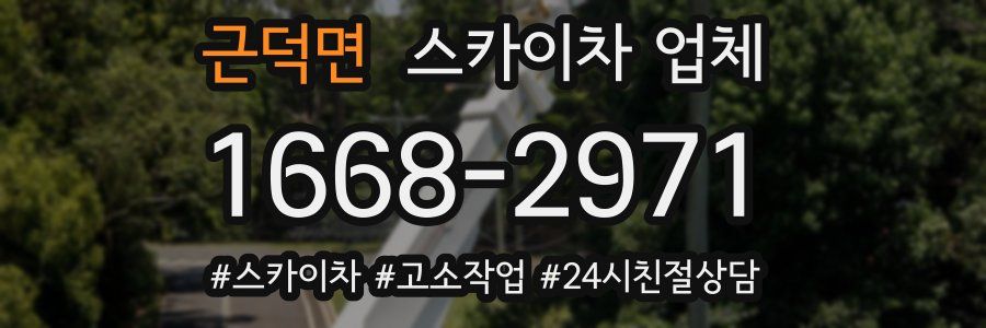 근덕면 스카이차 업체