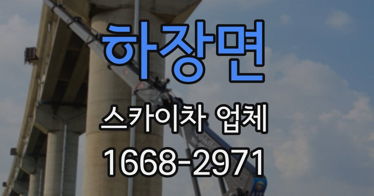 하장면 스카이차 업체