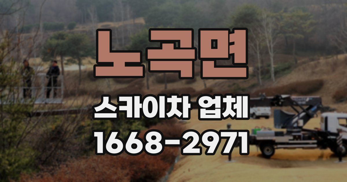노곡면 스카이차 업체