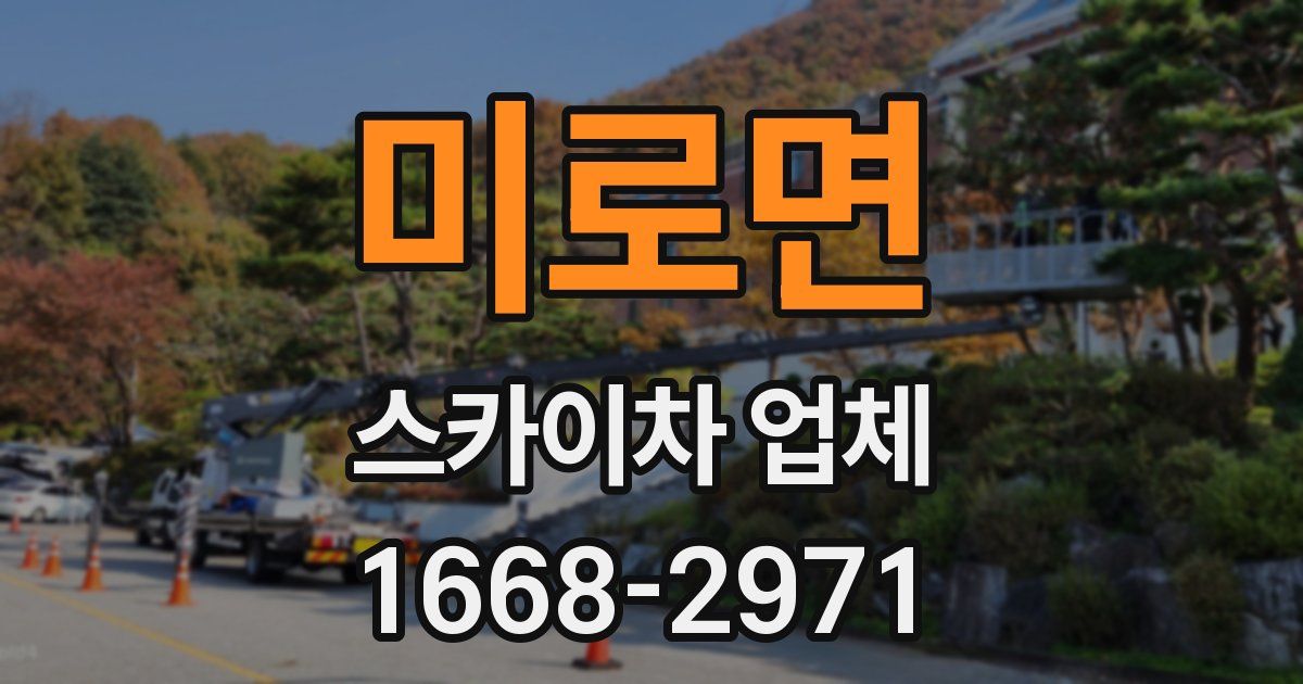 미로면 스카이차 업체