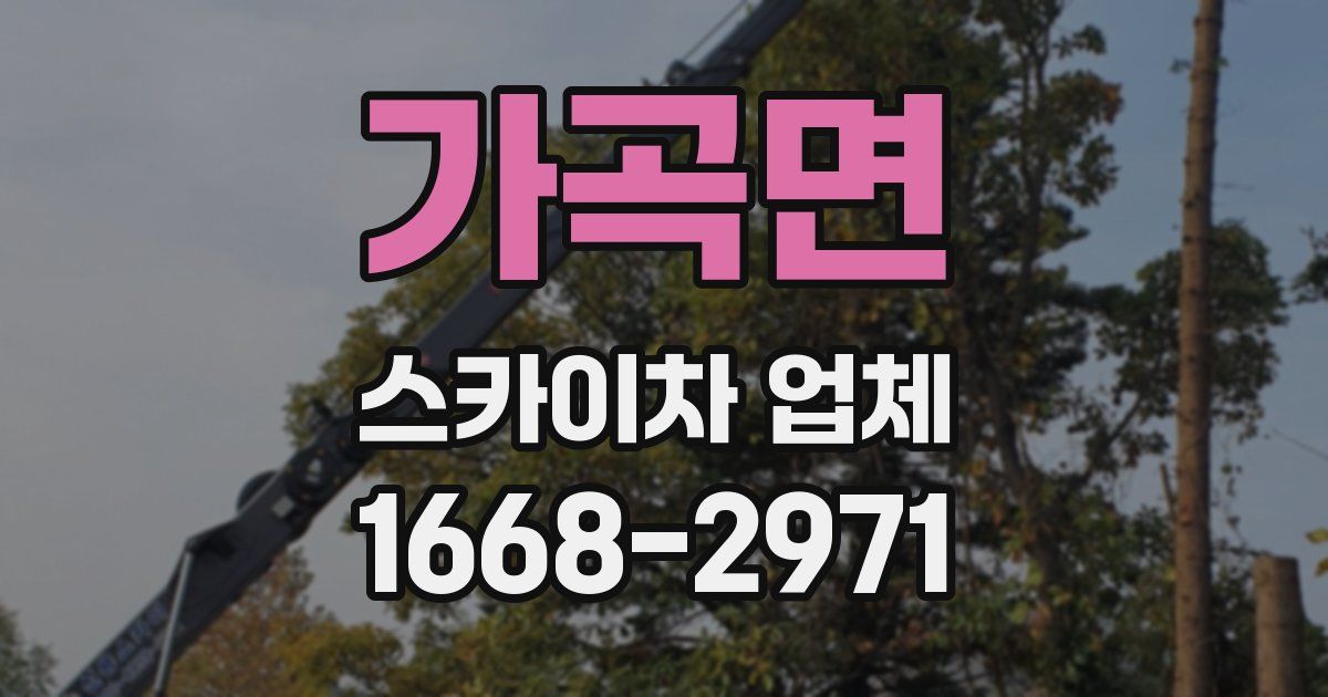 가곡면 스카이차 업체