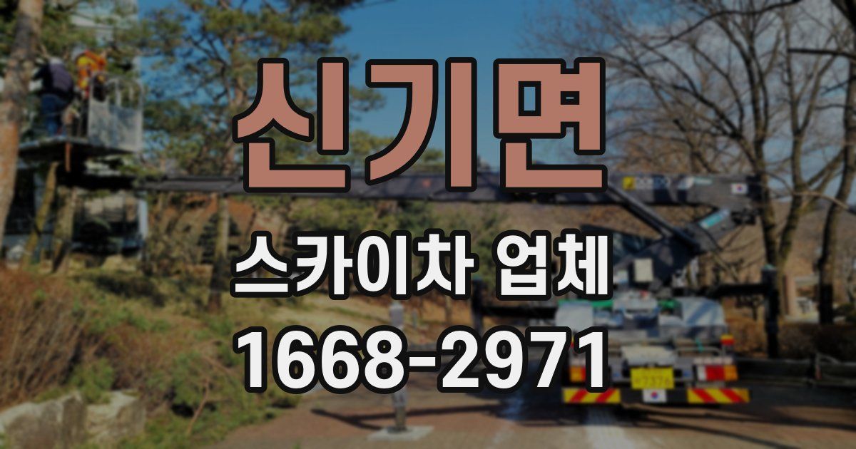 신기면 스카이차 업체