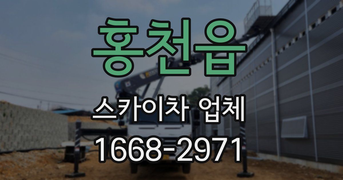 홍천읍 스카이차 업체