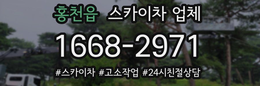 홍천읍 스카이차 업체