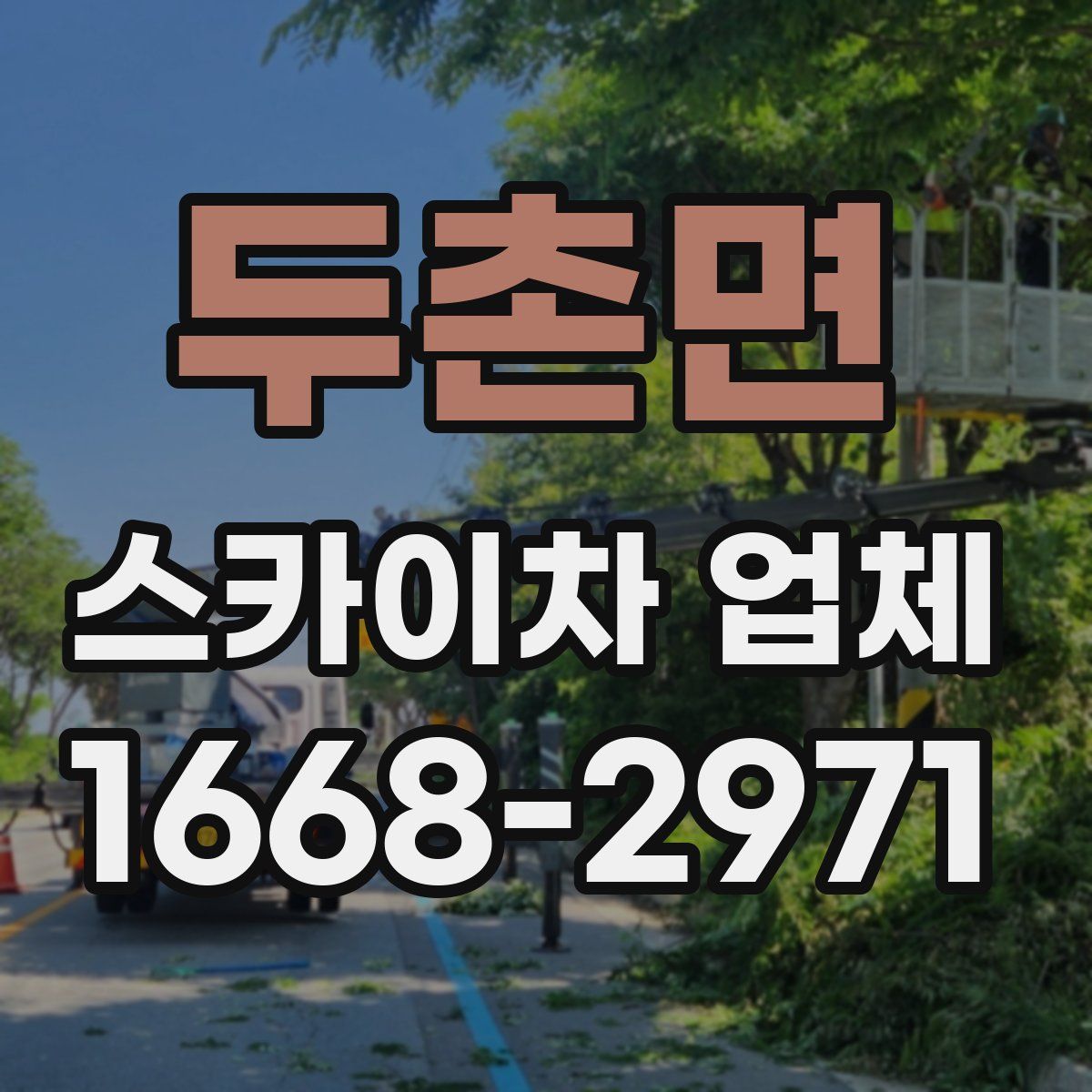 두촌면 스카이차 업체