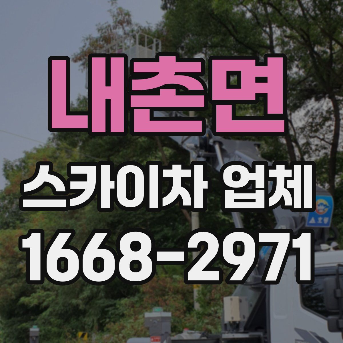 내촌면 스카이차 업체