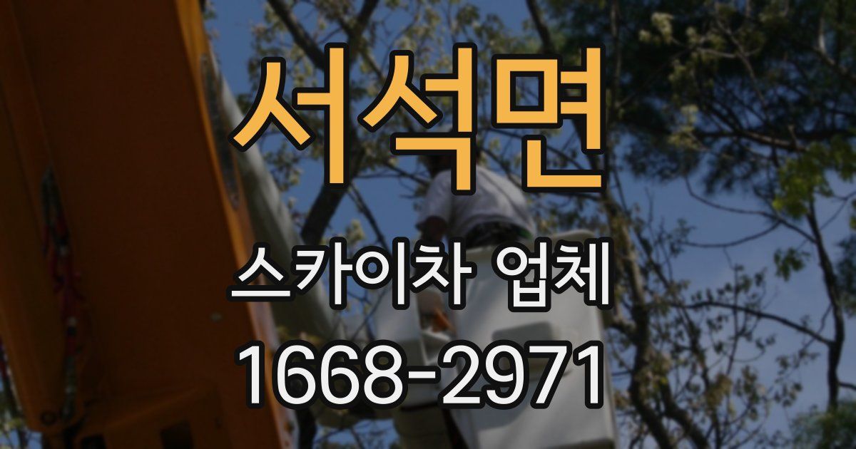 서석면 스카이차 업체