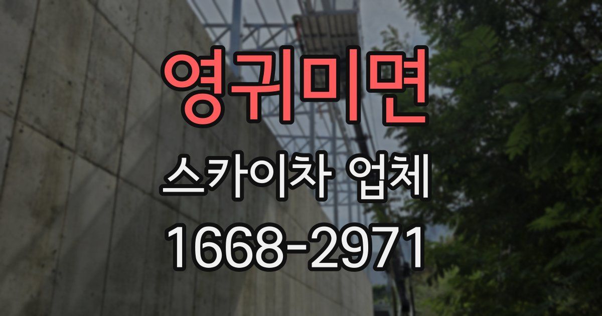 영귀미면 스카이차 업체