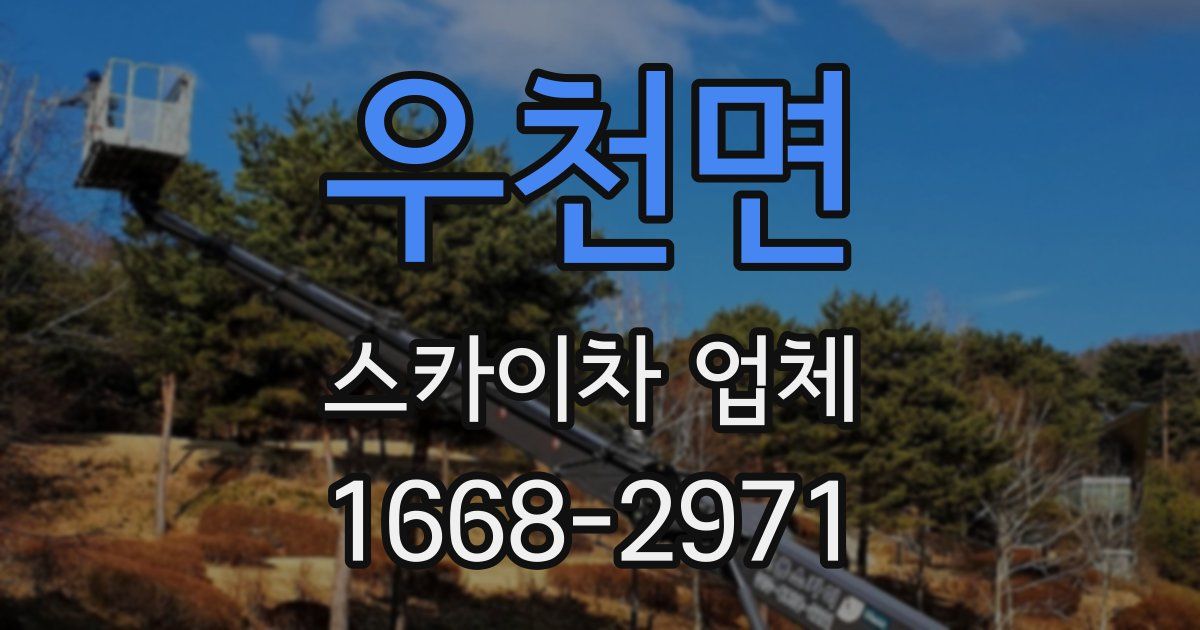 우천면 스카이차 업체