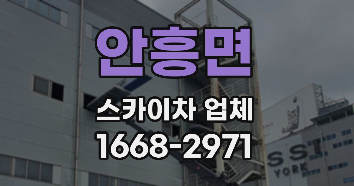안흥면 스카이차 업체