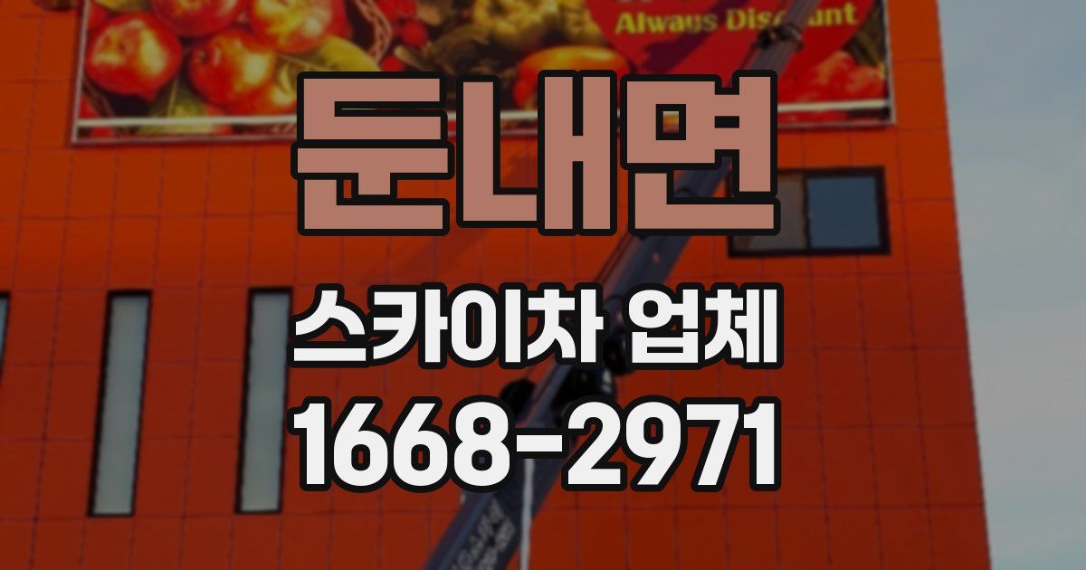 둔내면 스카이차 업체