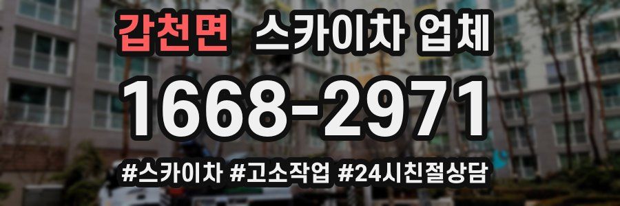 갑천면 스카이차 업체