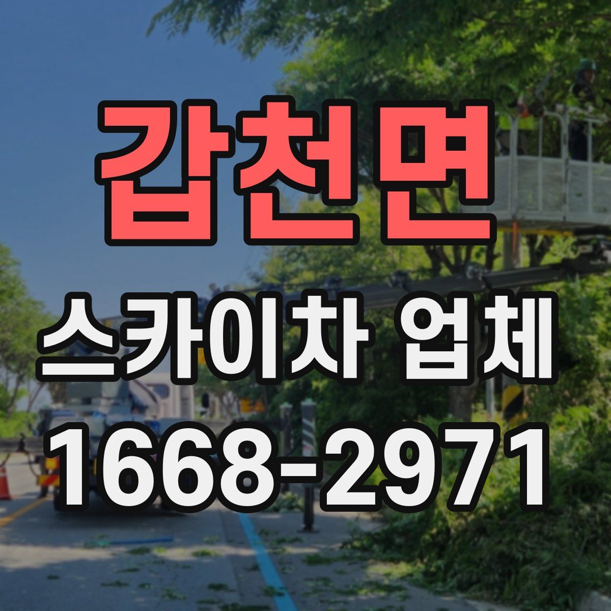 갑천면 스카이차 업체