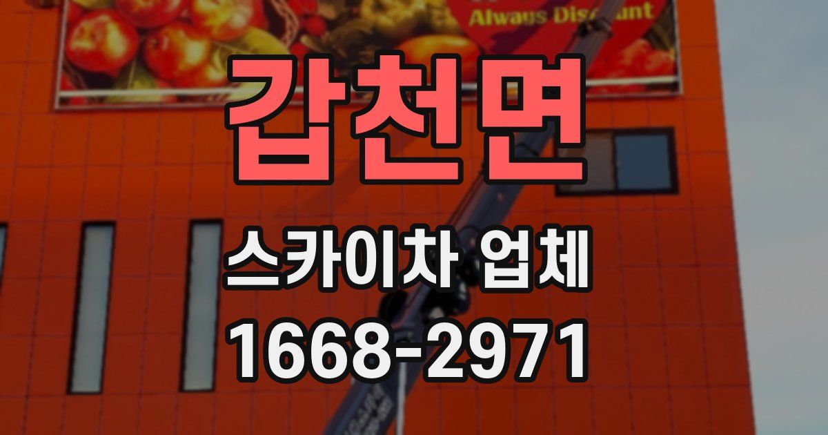 갑천면 스카이차 업체