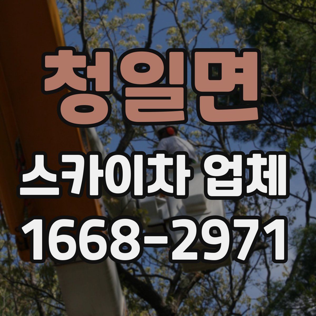 청일면 스카이차 업체