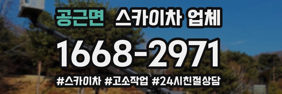 공근면 스카이차 업체