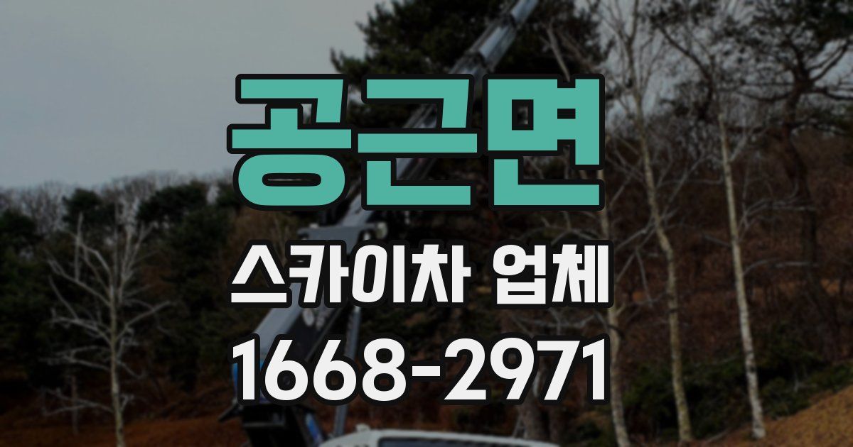 공근면 스카이차 업체