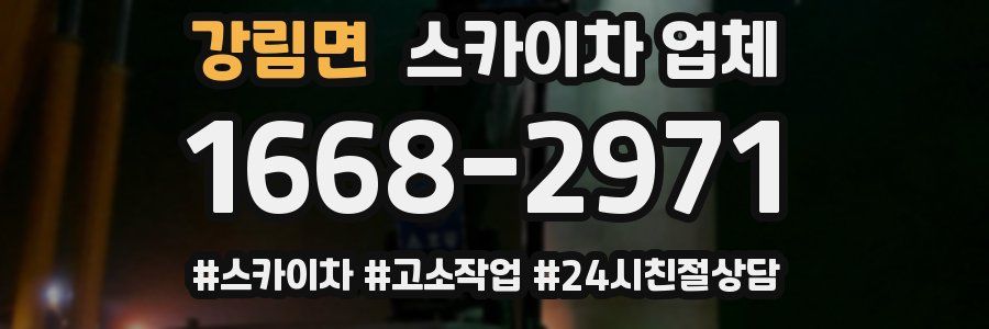 강림면 스카이차 업체