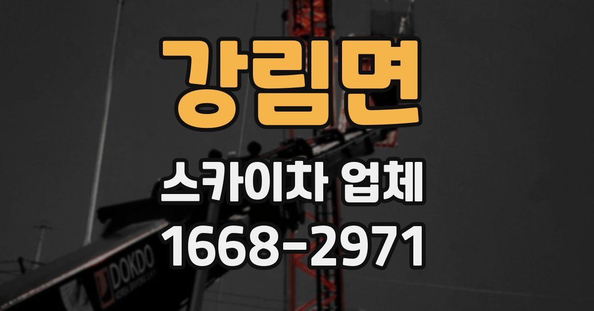 강림면 스카이차 업체