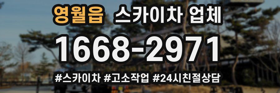 영월읍 스카이차 업체