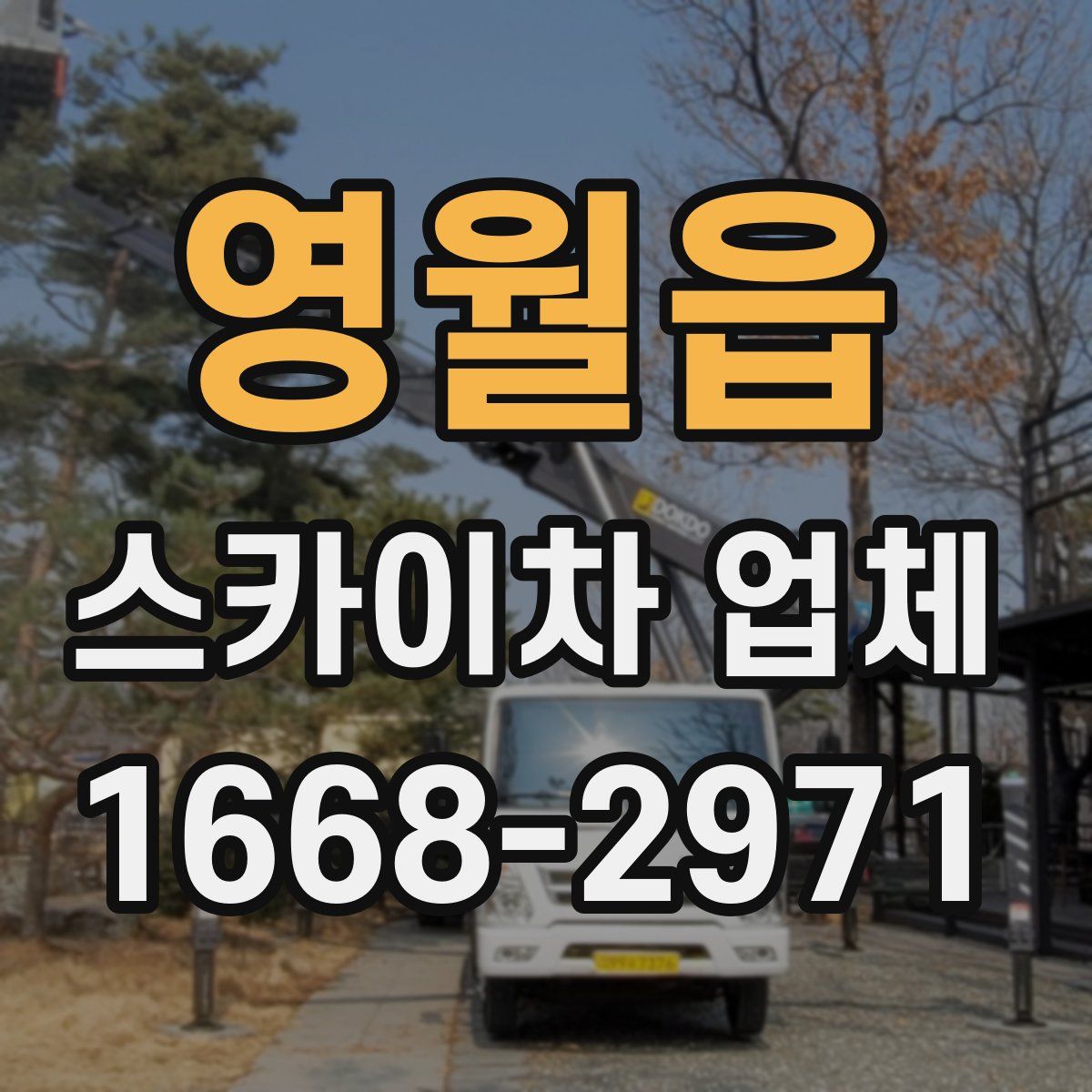 영월읍 스카이차 업체