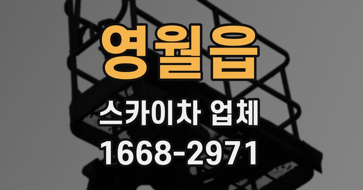 영월읍 스카이차 업체