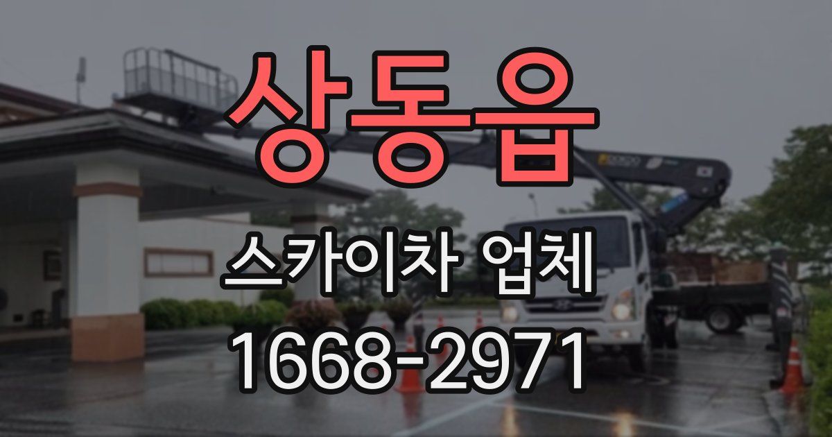 상동읍 스카이차 업체