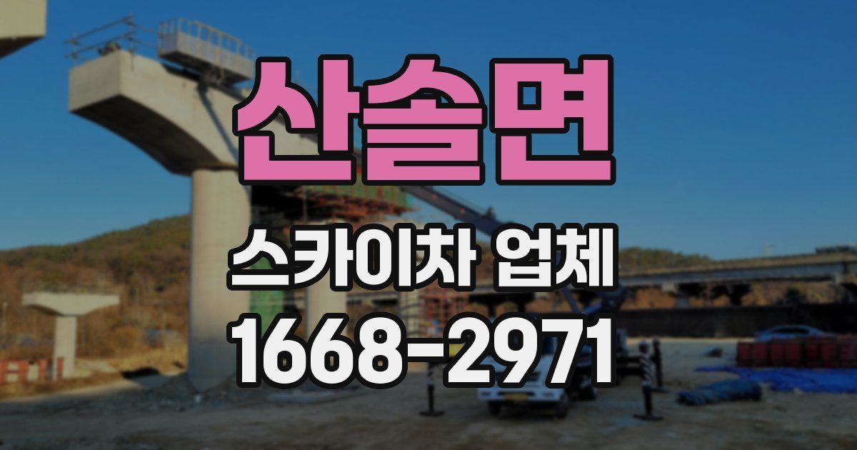 산솔면 스카이차 업체