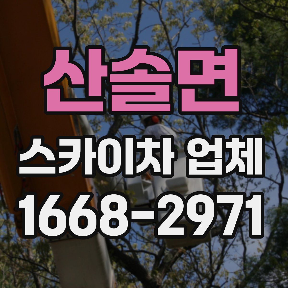 산솔면 스카이차 업체