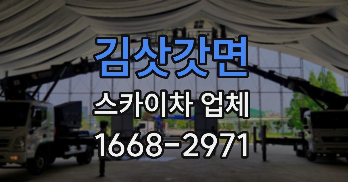 김삿갓면 스카이차 업체