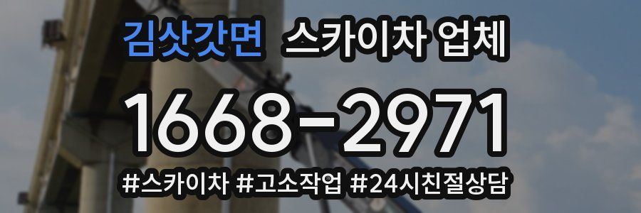 김삿갓면 스카이차 업체