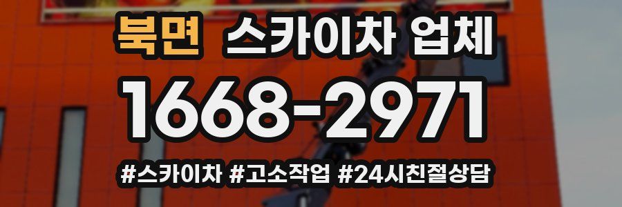 북면 스카이차 업체