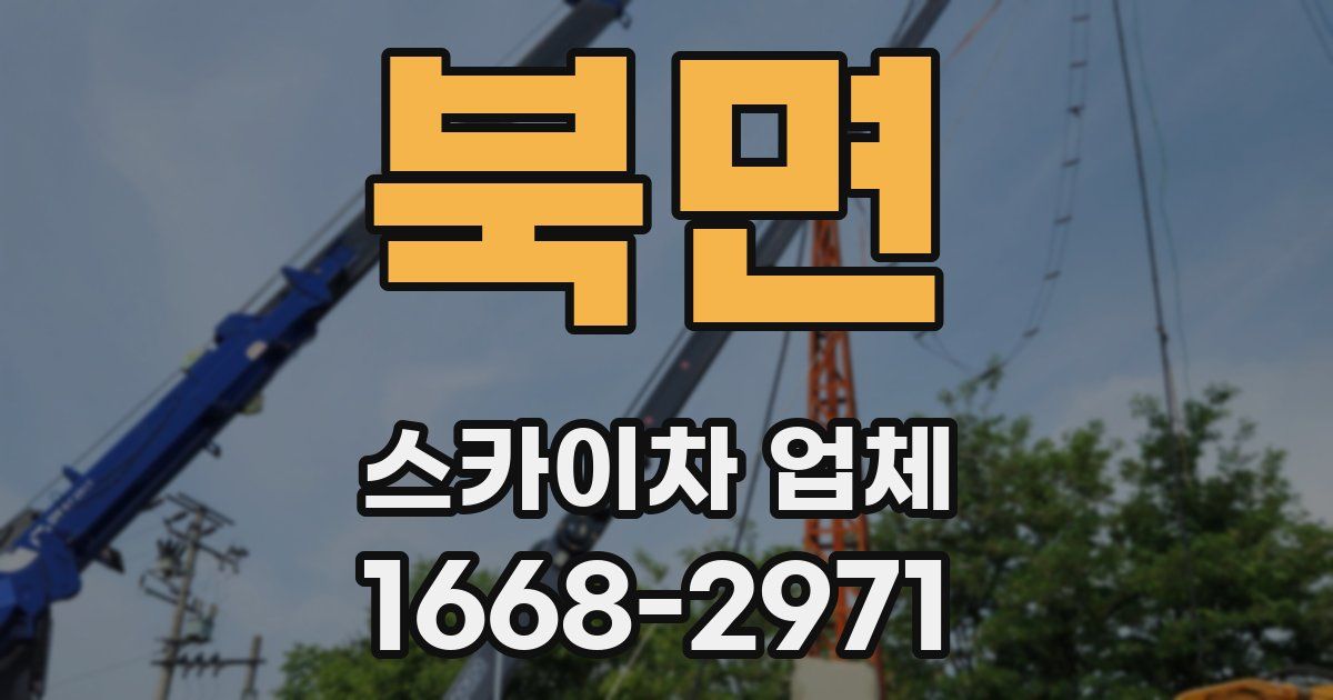 북면 스카이차 업체