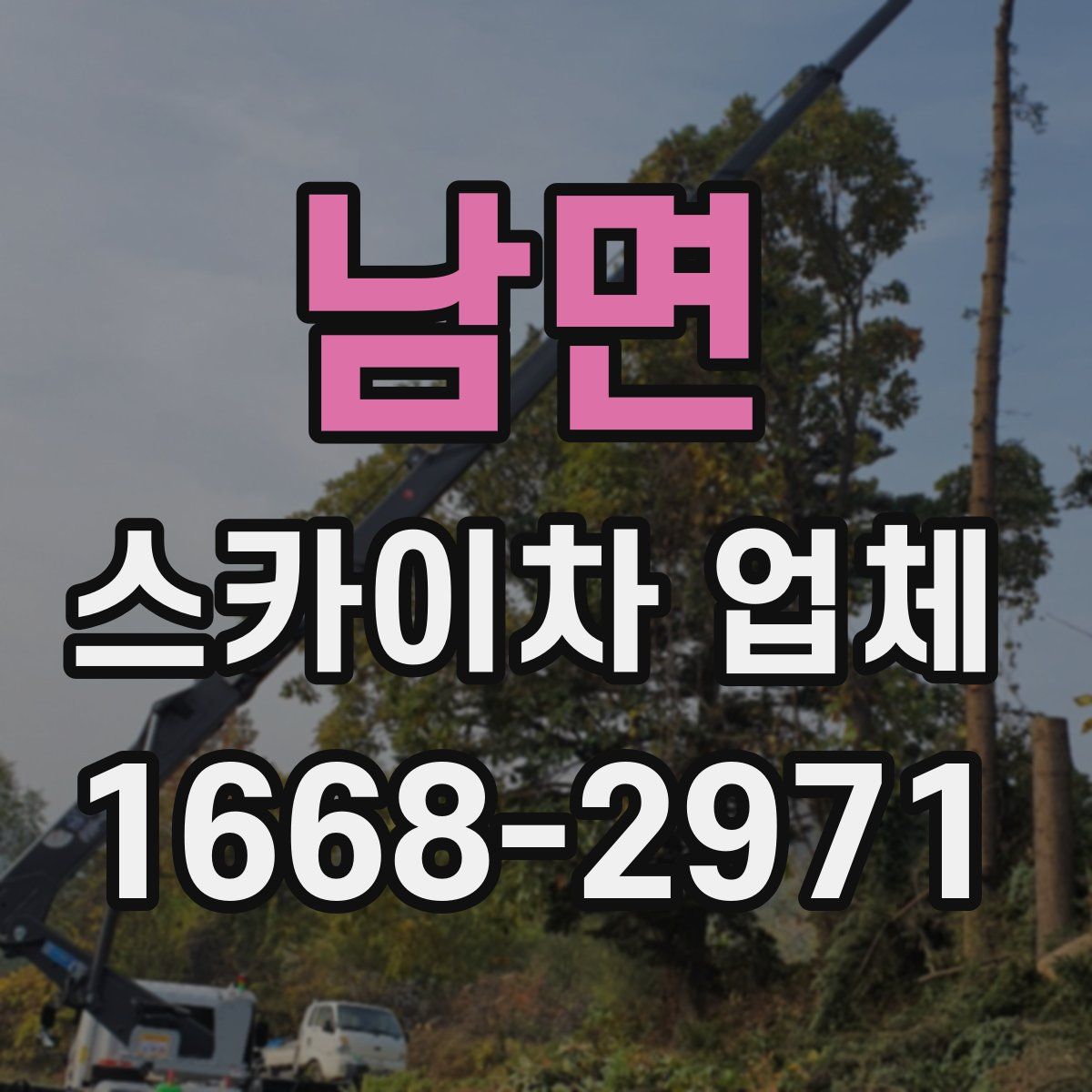 남면 스카이차 업체