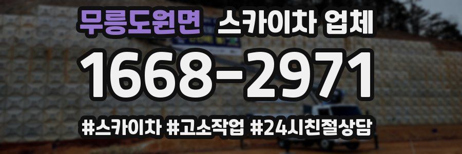 무릉도원면 스카이차 업체