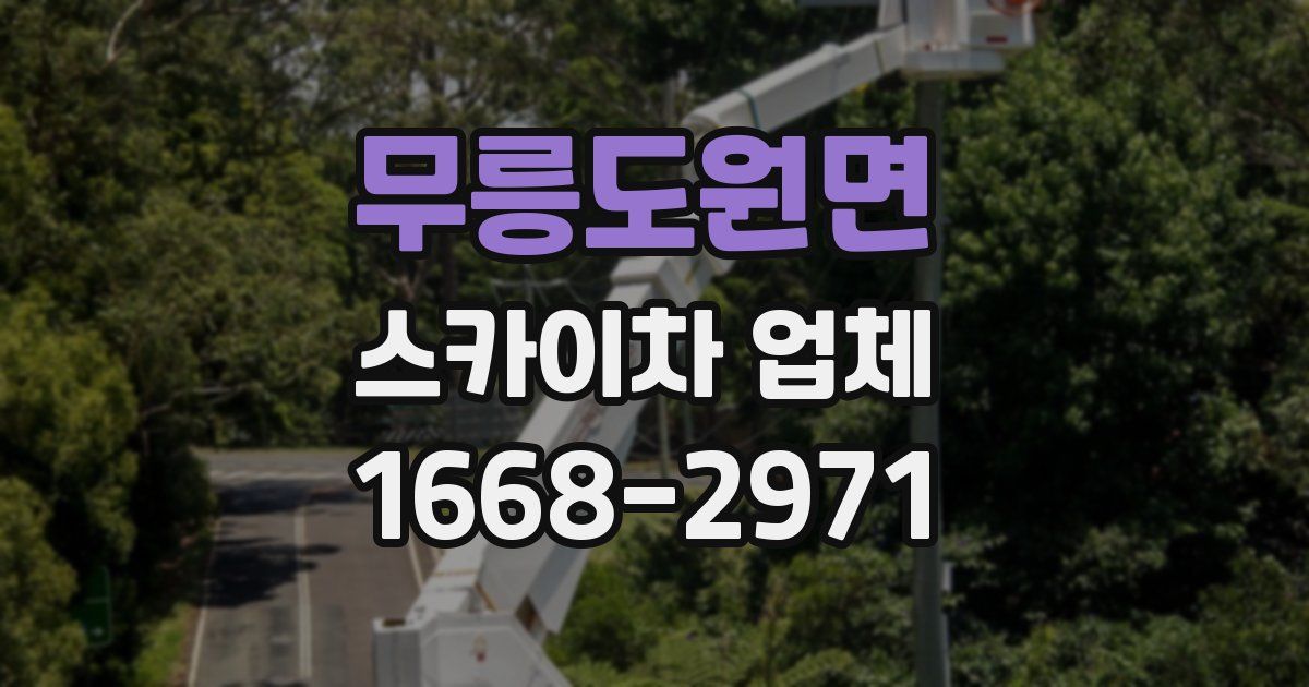 무릉도원면 스카이차 업체
