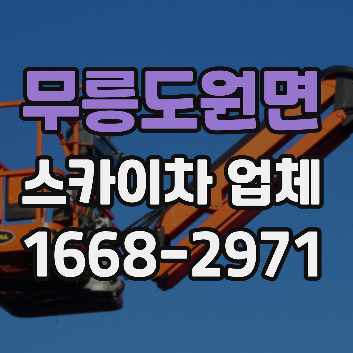 무릉도원면 스카이차 업체