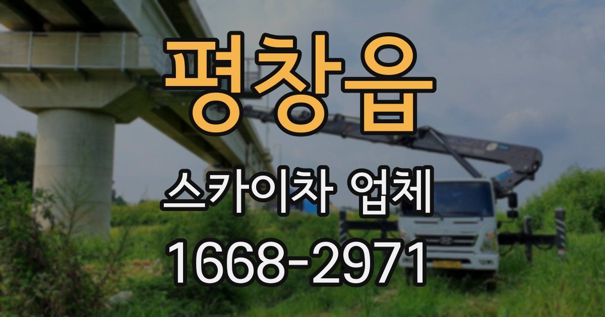 평창읍 스카이차 업체