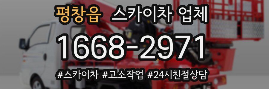 평창읍 스카이차 업체